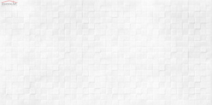 Плитка AltaCera Santos White WT9SOS00 (24,9x50)